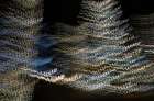 USA-Arizona-Buckeye-Abstract of Christmas tree at night Art Print